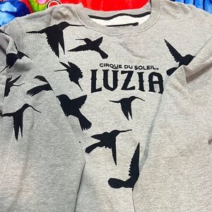 Gray Sweatshirt with Bird Motif